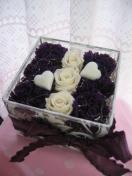 MOMOt[veBTJZR[X@򂳂̍i